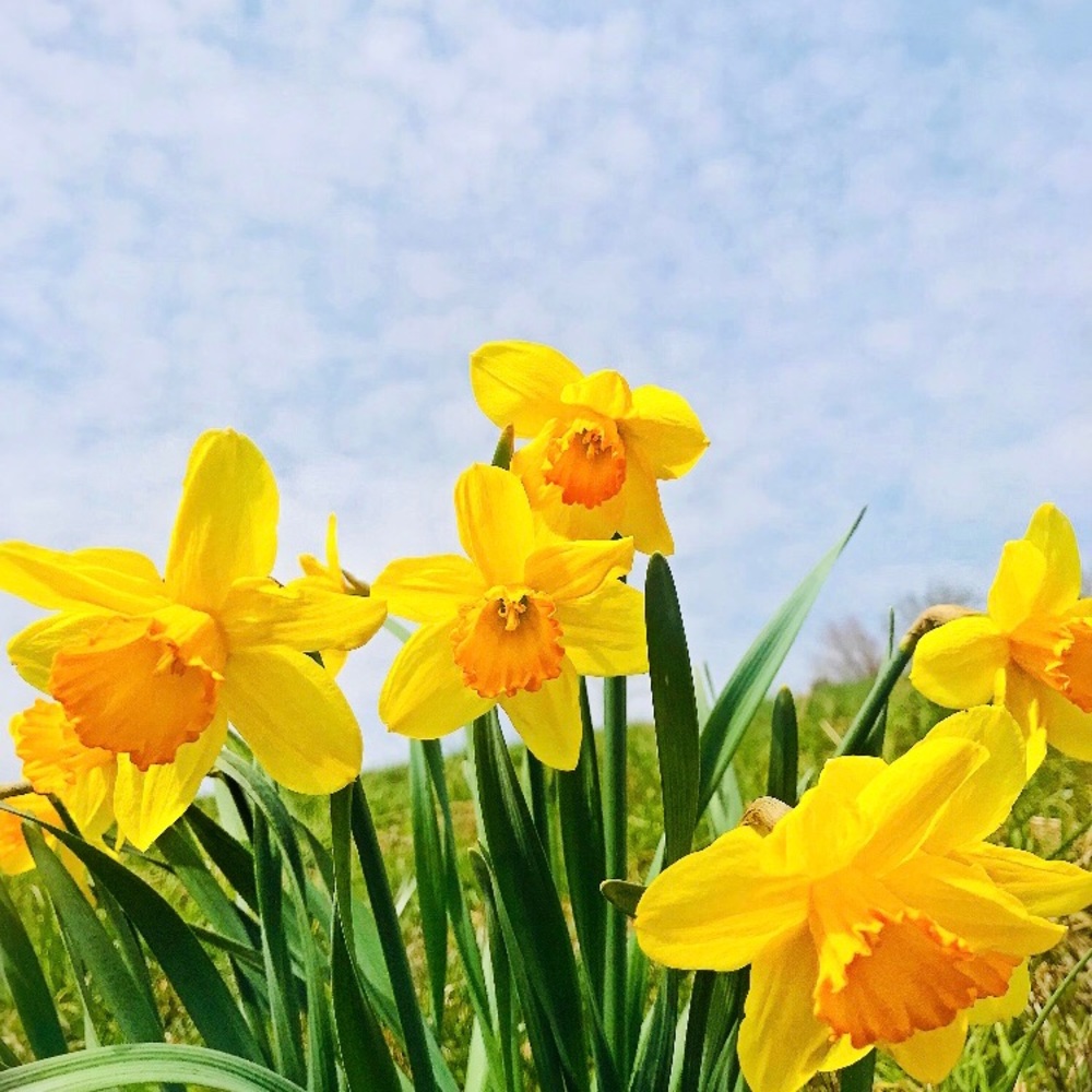 Meet your Posher, Melinda